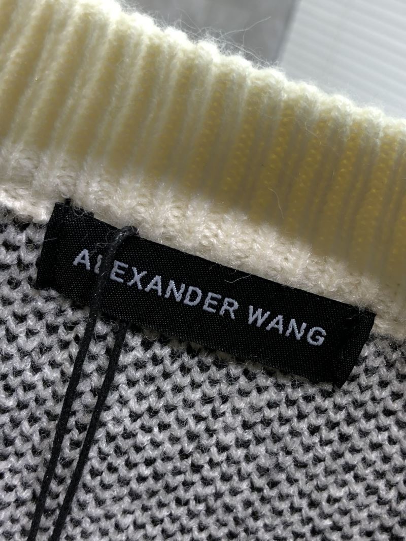 Alexander Wang Sweaters